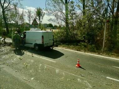 Foto čitateľa: Vietor trápi Šamorín, na idúce auto spadol strom