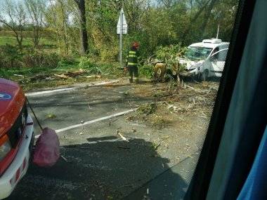 Foto čitateľa: Vietor trápi Šamorín, na idúce auto spadol strom Foto čitateľa: Vietor trápi Šamorín, na idúce auto spadol strom