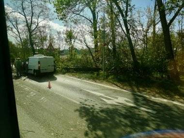 Foto čitateľa: Vietor trápi Šamorín, na idúce auto spadol strom