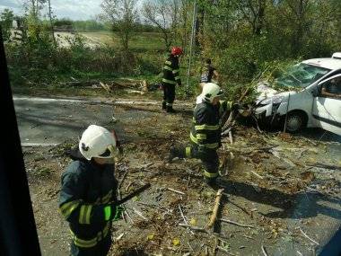 Foto čitateľa: Vietor trápi Šamorín, na idúce auto spadol strom Foto čitateľa: Vietor trápi Šamorín, na idúce auto spadol strom