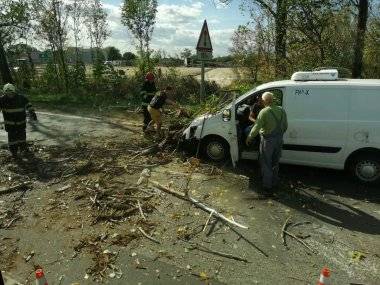 Foto čitateľa: Vietor trápi Šamorín, na idúce auto spadol strom Foto čitateľa: Vietor trápi Šamorín, na idúce auto spadol strom