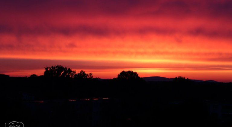 13170706_1347418951951612_2111361129_o