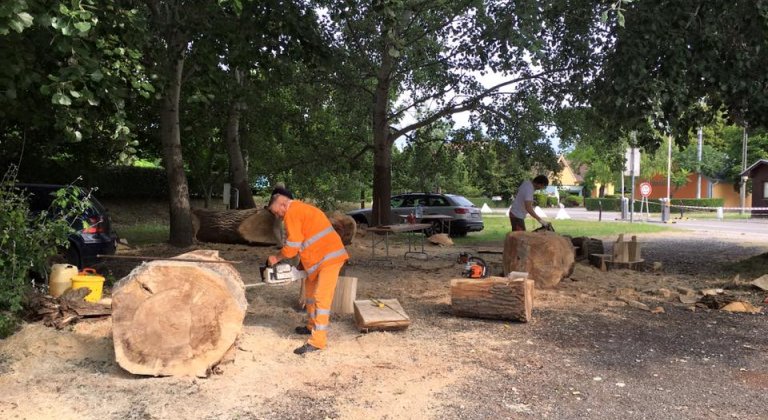 13680682_1389488551078294_8685476723127204301_n-1