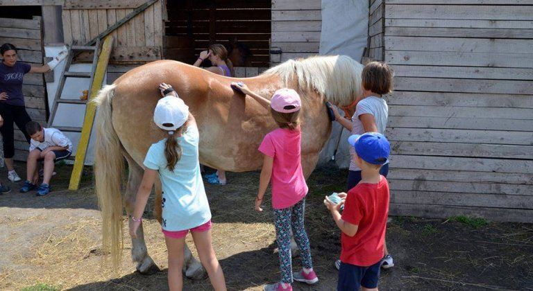 13871779_1142580679135040_1583332011_n 13871779_1142580679135040_1583332011_n