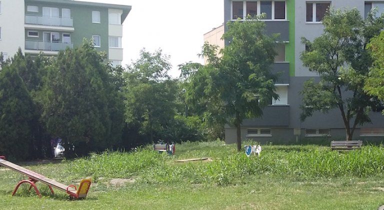 20160727_143501 20160727_143501