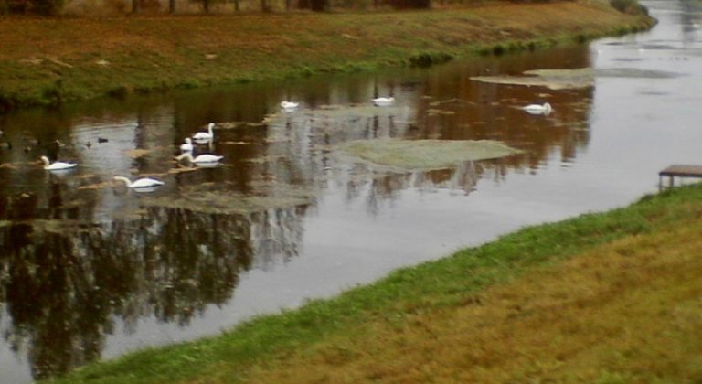 IMG_20161025_075041 IMG_20161025_075041