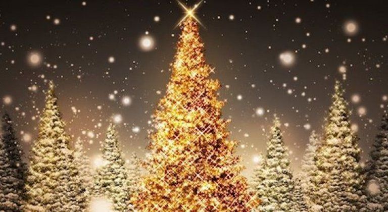 15146822_731212380376673_1239592239_o