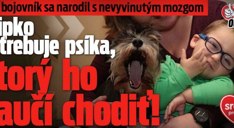 MHNnfKkOTOzFMNSqEgHZkg~filipko MHNnfKkOTOzFMNSqEgHZkg~filipko