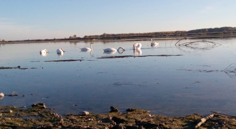 IMG_20171015_164659 IMG_20171015_164659