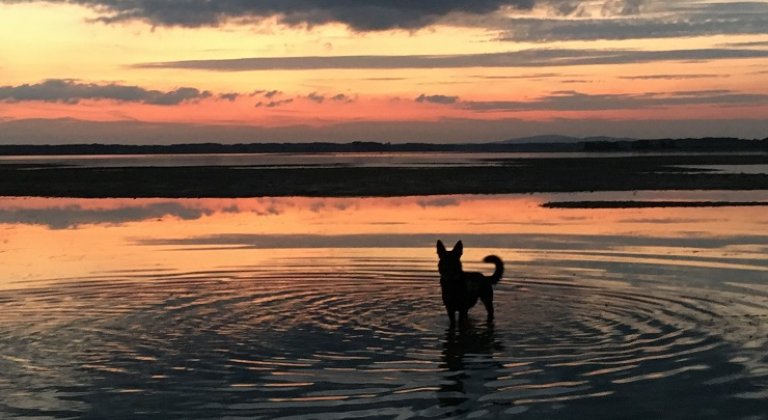 Foto čitateľky: západ slnka v Hamuliakove Foto čitateľky: západ slnka v Hamuliakove
