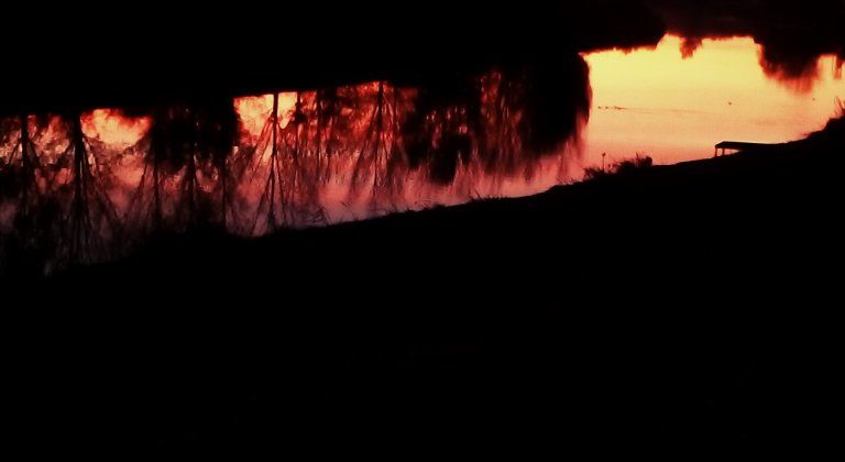 Foto čitateľky: Pozdrav k peknému dňu Foto čitateľky: Pozdrav k peknému dňu