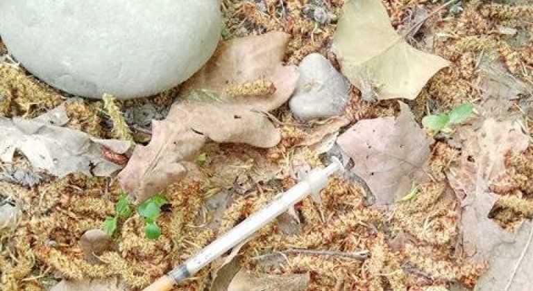 31749569_1880779121941879_529562303591350272_n