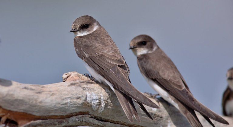 32287824_2125609784121883_9062450585915097088_o 32287824_2125609784121883_9062450585915097088_o