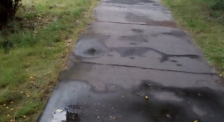 IMG_20180707_061750 IMG_20180707_061750