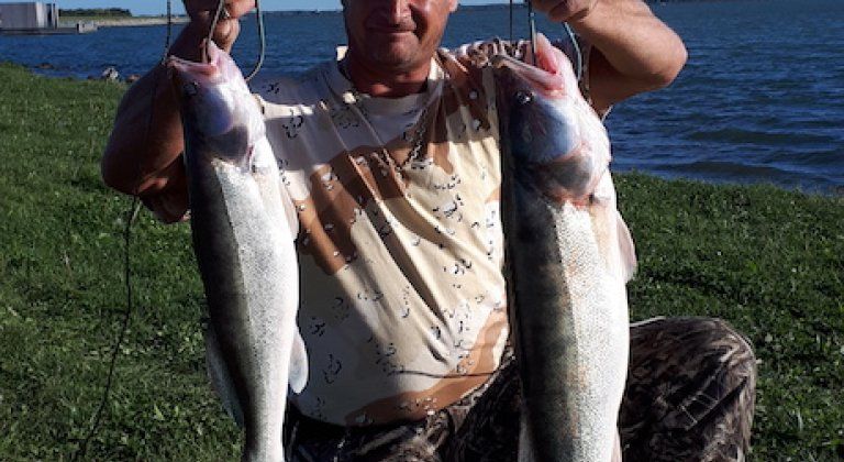 Takéto parádne zubáče plávajú v Dunaji Takéto parádne zubáče plávajú v Dunaji