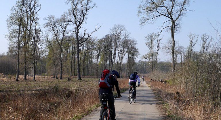 Hamarosan kerékpárút köti majd össze Somorját Úszorral Hamarosan kerékpárút köti majd össze Somorját Úszorral