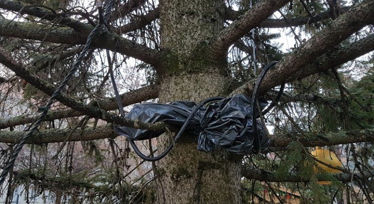 20181206_145547 20181206_145547