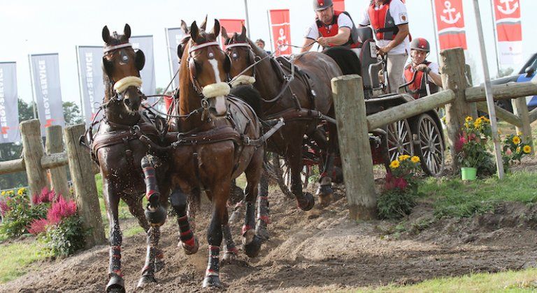 Chester Weber C fotošárka