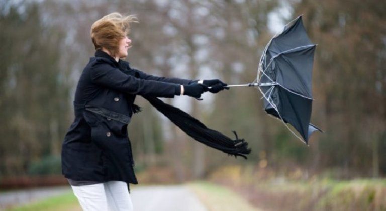 Erős szélre figyelmeztetnek a meteorológusok Erős szélre figyelmeztetnek a meteorológusok