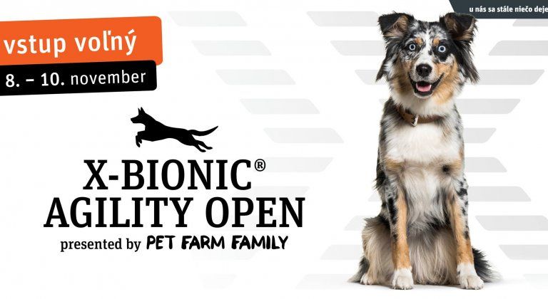 72337498_480048275923794_7536109145531875328_o 72337498_480048275923794_7536109145531875328_o