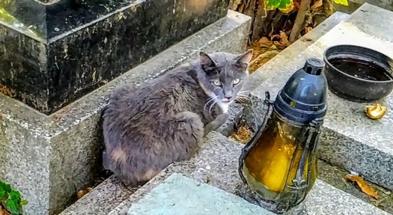 IMG-20191014-WA0017 IMG-20191014-WA0017