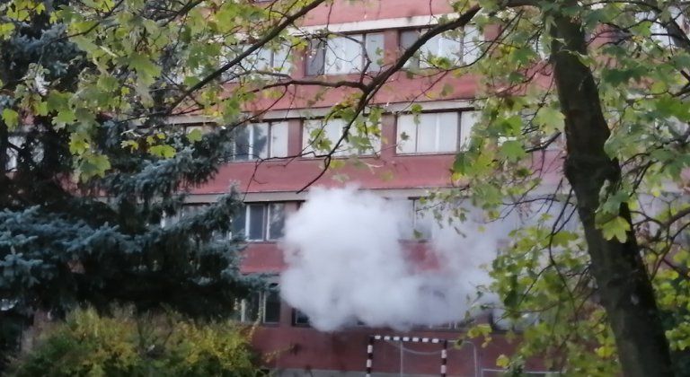 IMG_20191101_160436 IMG_20191101_160436