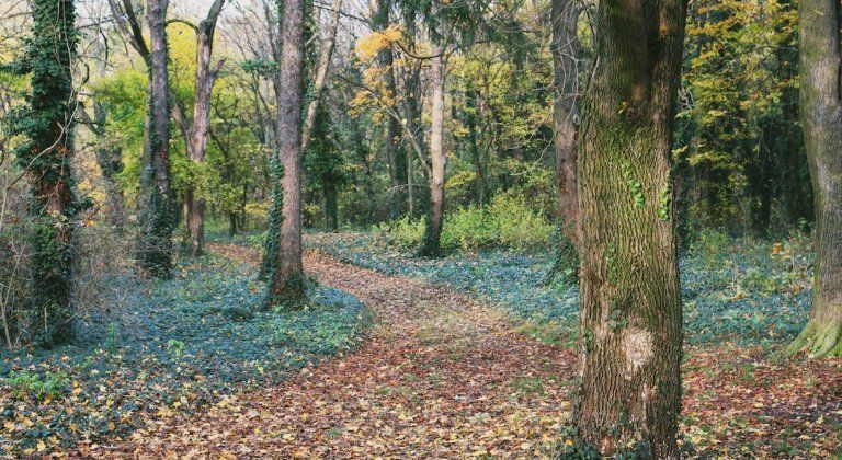 INCOLLAGE_20191111_183137211 INCOLLAGE_20191111_183137211