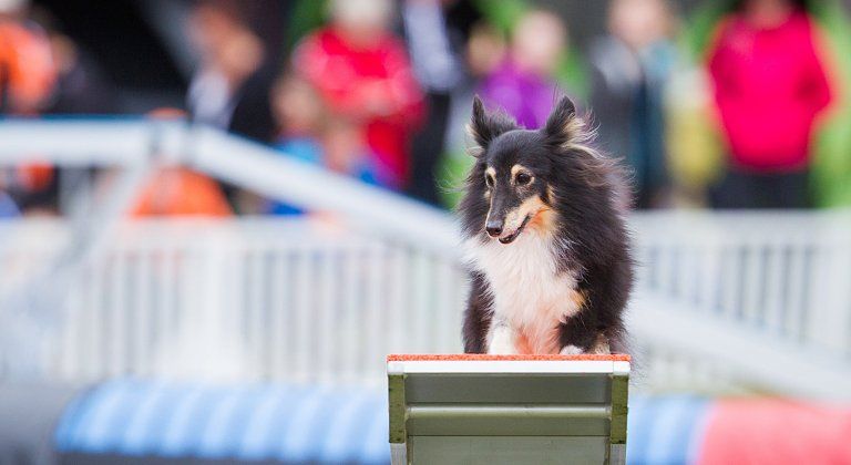 agility sport_x-bionic sphere_9