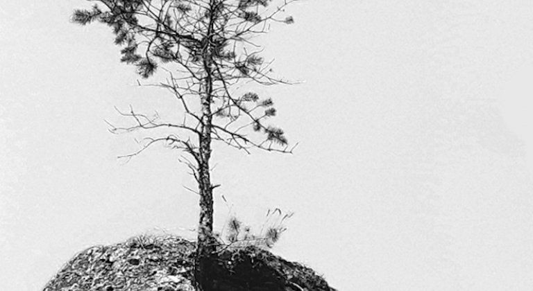 puss_kiallitas2019_meghivo2