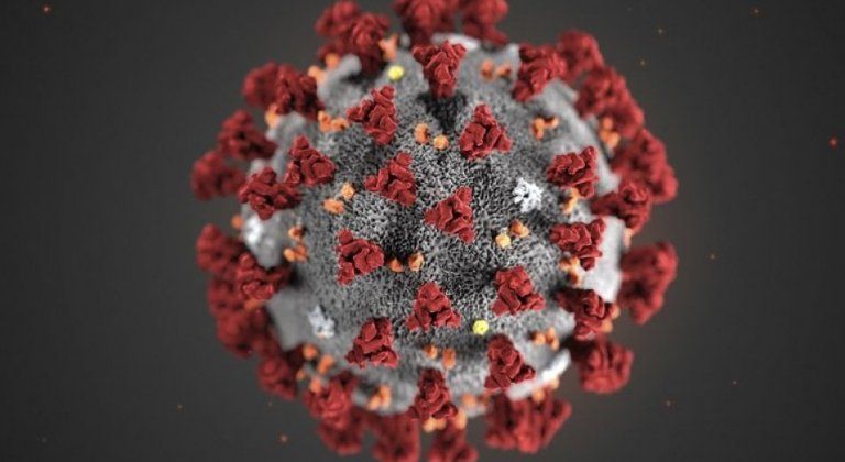 Koronavírus: Sumár najdôležitejších informácií