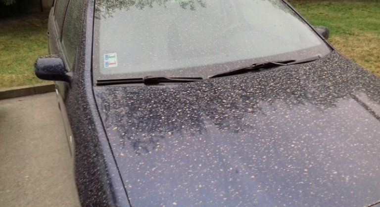 Tip čitateľa: V utorok som umyl auto Tip čitateľa: V utorok som umyl auto