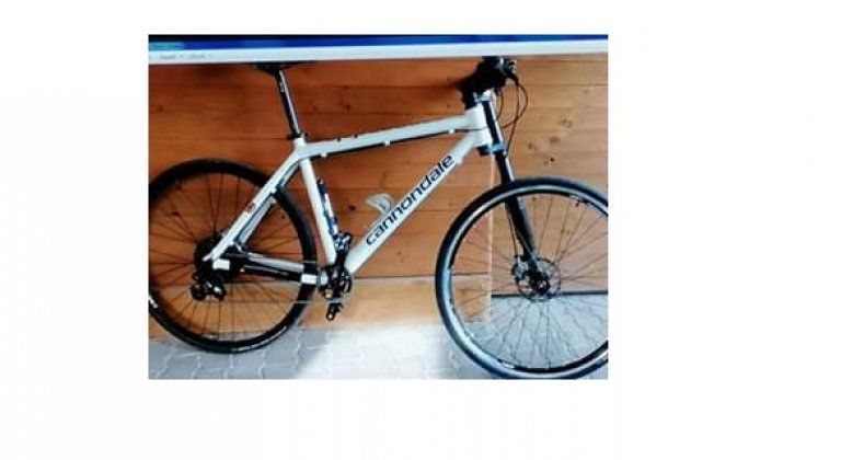 bike camondale bike camondale