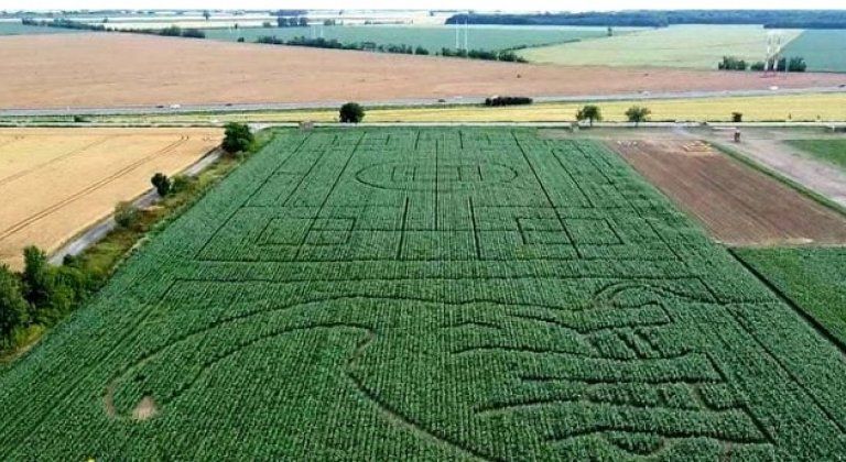 bludisko_il bludisko_il