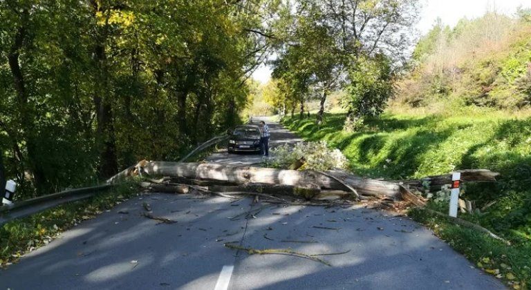 A tüzoltók segítségére is szükség volt a vihar okozta károk elhárításánál