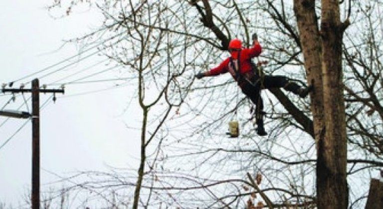 strihanie konárov elektrina strihanie konárov elektrina