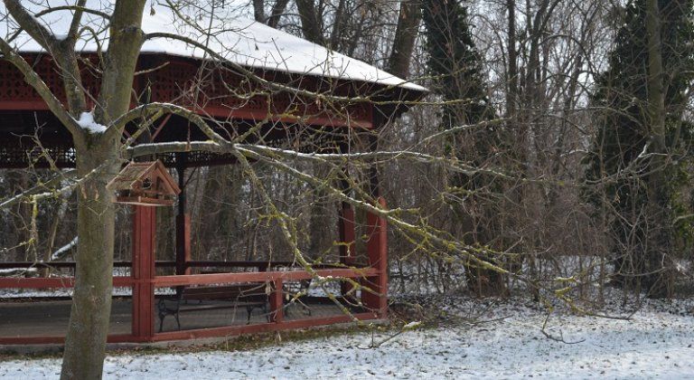 Zima ešte nepovedala posledné slovo – starostlivosť o vtáctvo v Šamoríne
