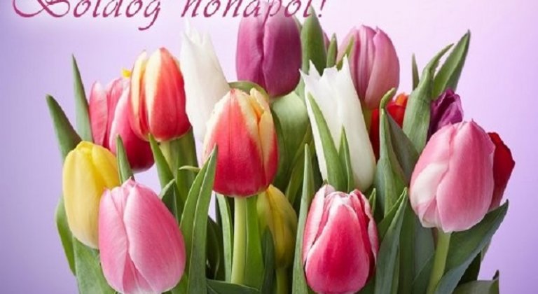 Honnan ered a nőnap? Honnan ered a nőnap?