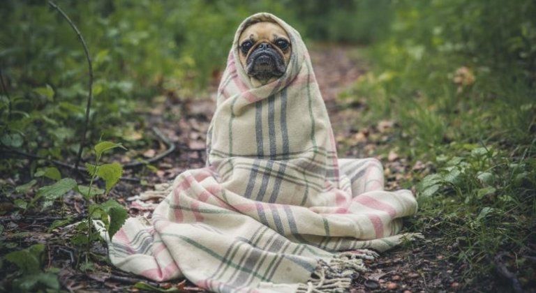 Itt a hidegfront: pár óra alatt 17-19 fokot zuhant a hőmérséklet Itt a hidegfront: pár óra alatt 17-19 fokot zuhant a hőmérséklet