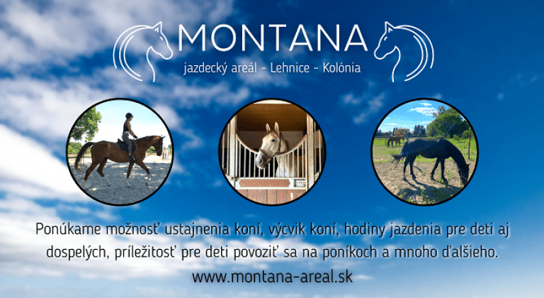 Nechajte sa zlákať cvalom koní a atmosférou pravého ranča so zvieratkami v krásnom areáli Nechajte sa zlákať cvalom koní a atmosférou pravého ranča so zvieratkami v krásnom areáli