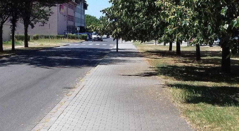 Máte problém so zeleňou v meste? Poradíme vám kam sa obrátiť