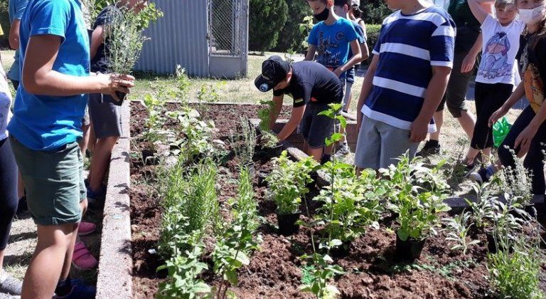 Lokálpatriotizmusra is tanítanak az iskolában