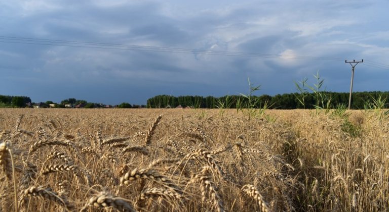 Do pozornosti vlastníkov pozemkov: Nedajte sa zlákať! Do pozornosti vlastníkov pozemkov: Nedajte sa zlákať!