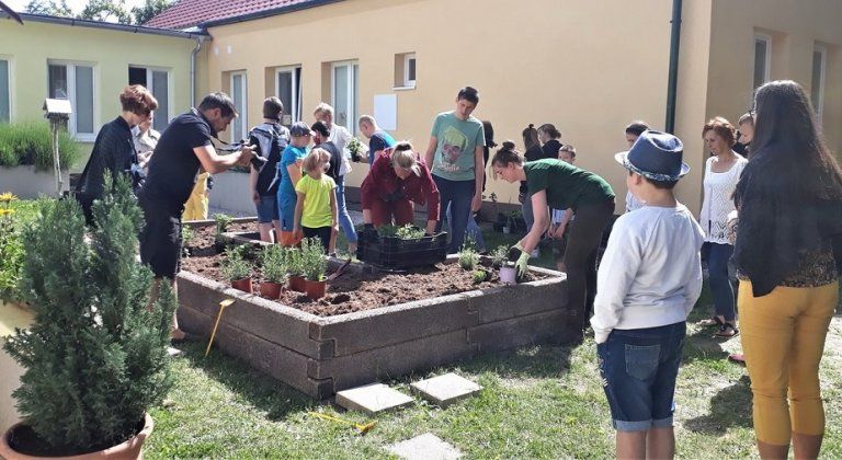 Projekt MOSONHERB bol úspešne ukončený Projekt MOSONHERB bol úspešne ukončený