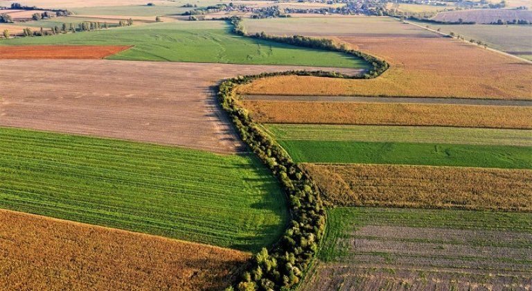 Szépséges Csallóköz - Bemutatkozik a DunaVit Dunamenti Tájvédelmi Társulat