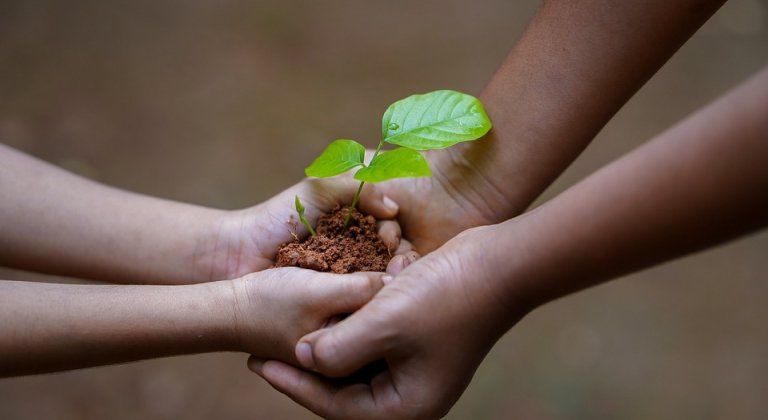 Poľovnícka organizácia Šamorín bola ocenená za výsadbu stromov okolo mesta Poľovnícka organizácia Šamorín bola ocenená za výsadbu stromov okolo mesta