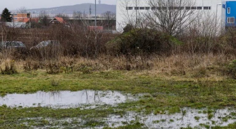 Még mindig veszélyben van a Csallóköz ivóvízkincse