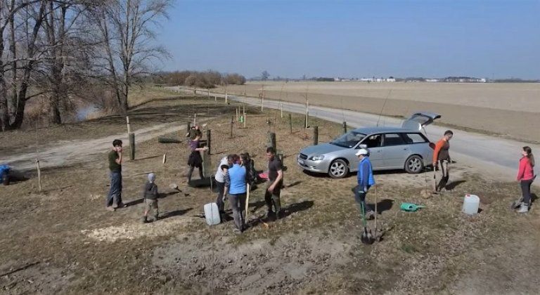 V katastri Mliečna vysadili vyše sto sadeníc stromov