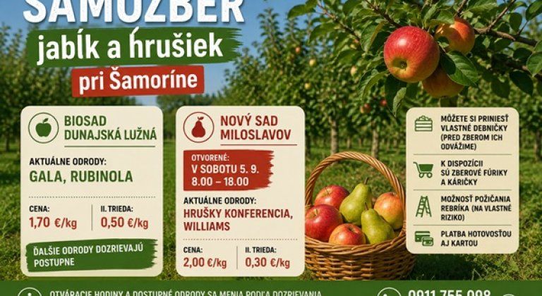 Samozber pokračuje: v Dunajskej Lužnej dozrieva Gala a Rubinola, nový sad v Miloslavove otvorí v sobotu Samozber pokračuje: v Dunajskej Lužnej dozrieva Gala a Rubinola, nový sad v Miloslavove otvorí v sobotu