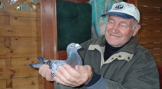 Jeho celoživotnou láskou sú poštové holuby