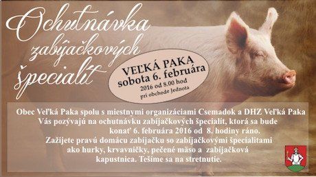 zabijackaslovak2016